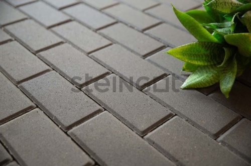 Брусчатка 200*100*60 Серая (полный прокрас), Steingot